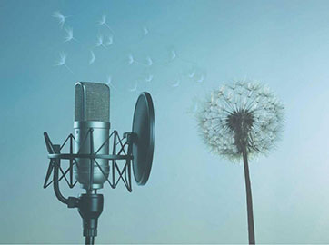 Introducing the Pause Here Podcast